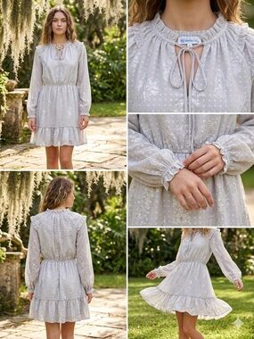 Big Water Blue Sky Silver Floral Clip Dot Ruffle Mini Dress Small Boho Metallic